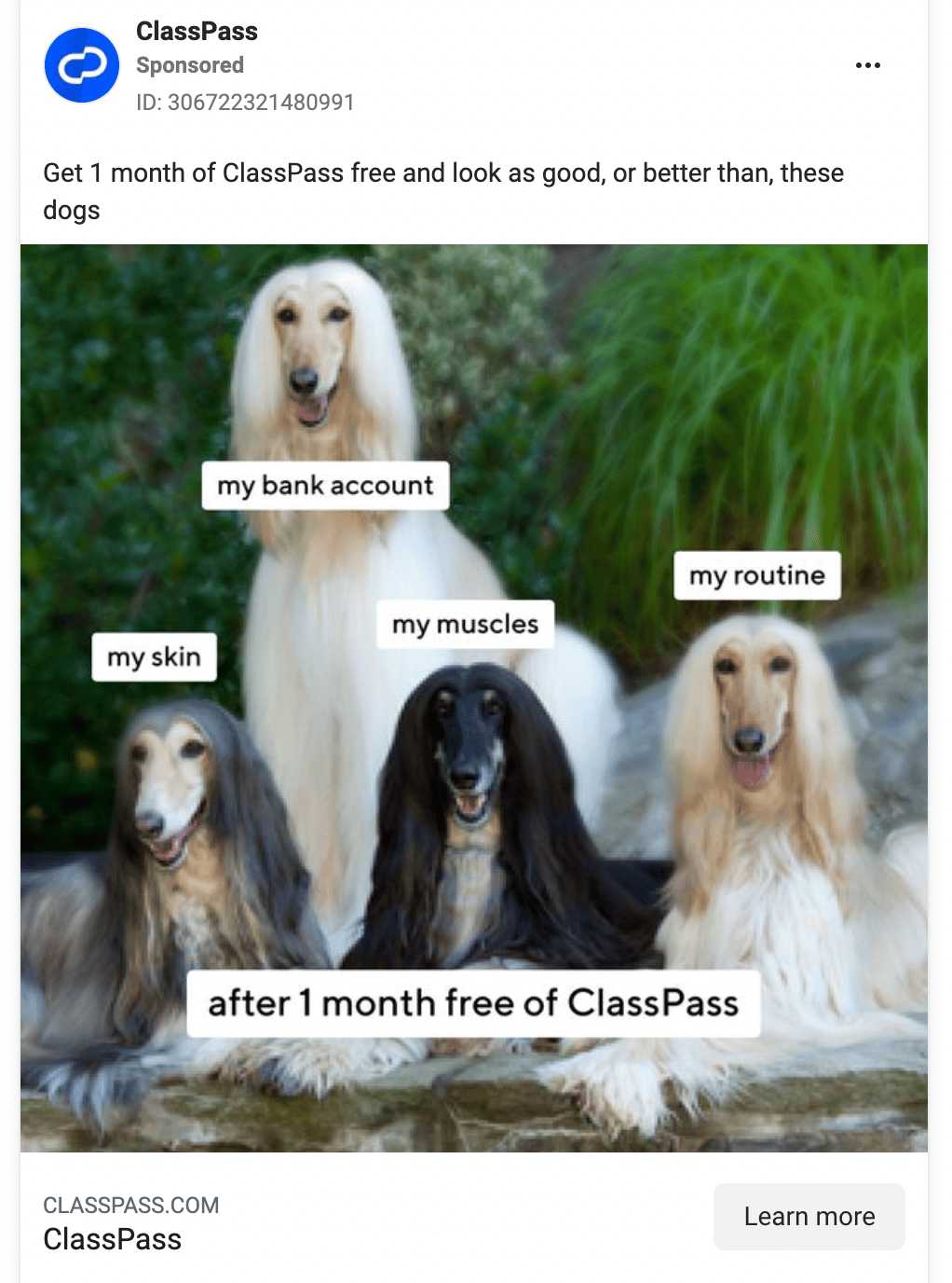 class-pass-facebook-ads-ideas